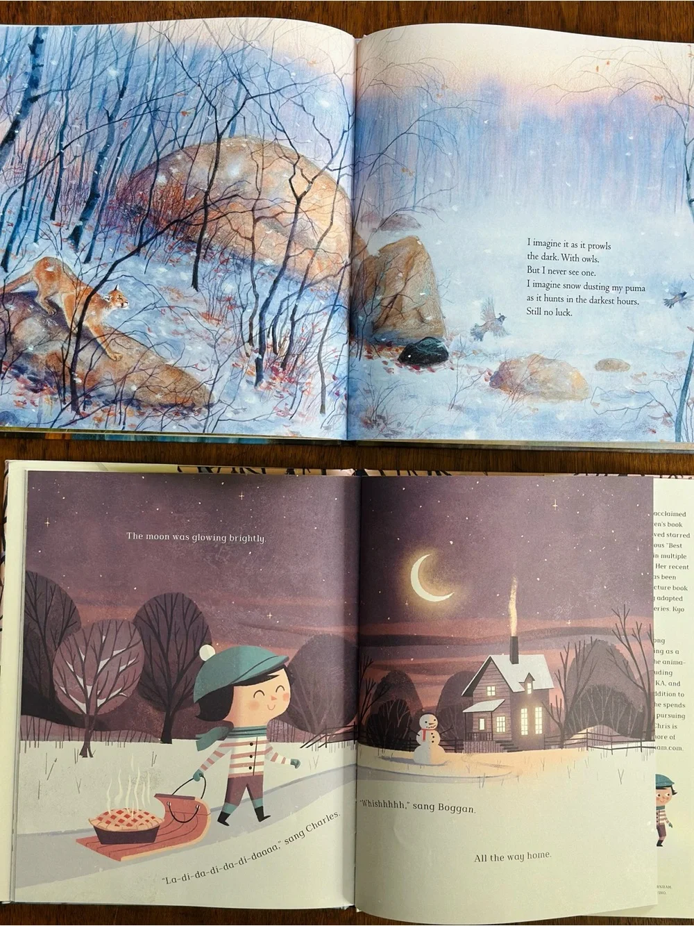 Children’s book lot